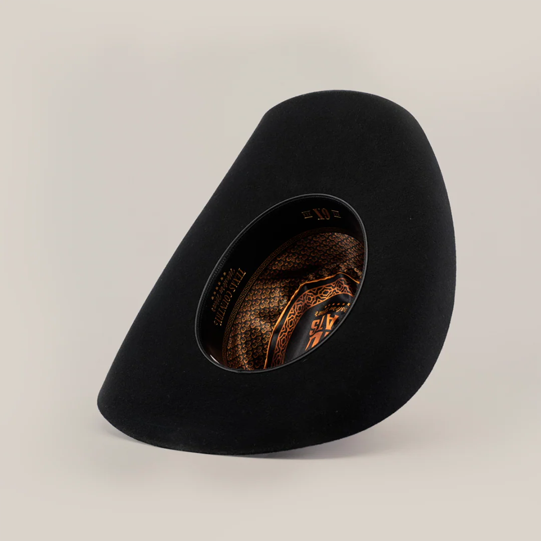 6X Chihuahua Black - Image 4