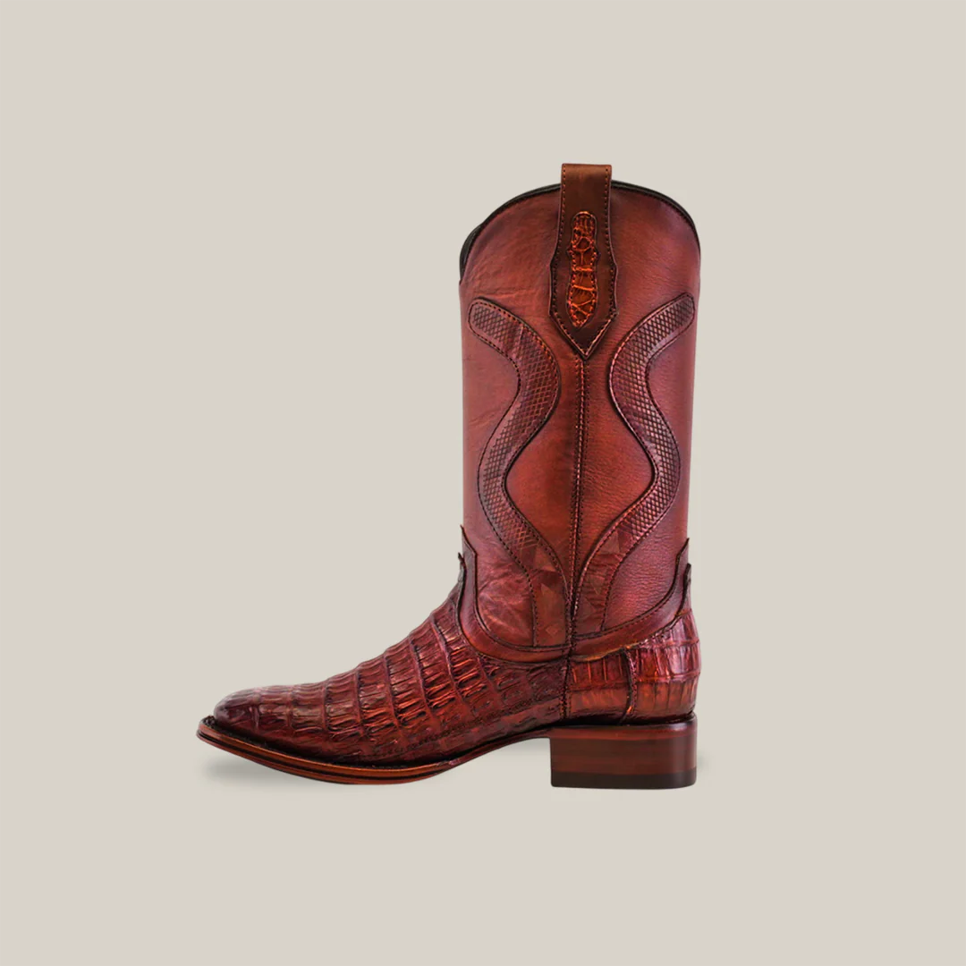 Caiman Cola Brandy H-501 Diamante - Image 3