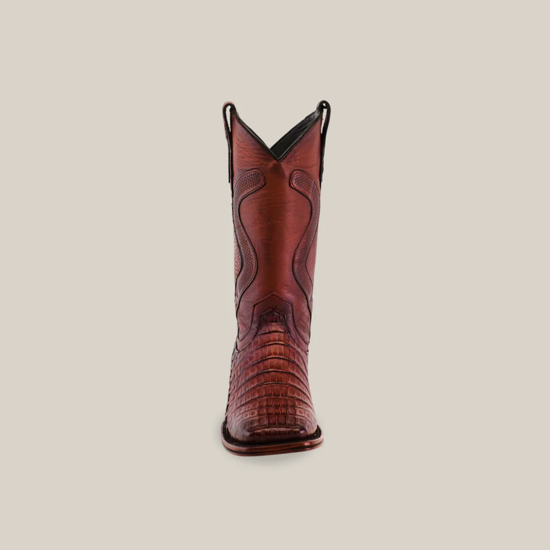 Caiman Cola Brandy H-501 Diamante - Image 4