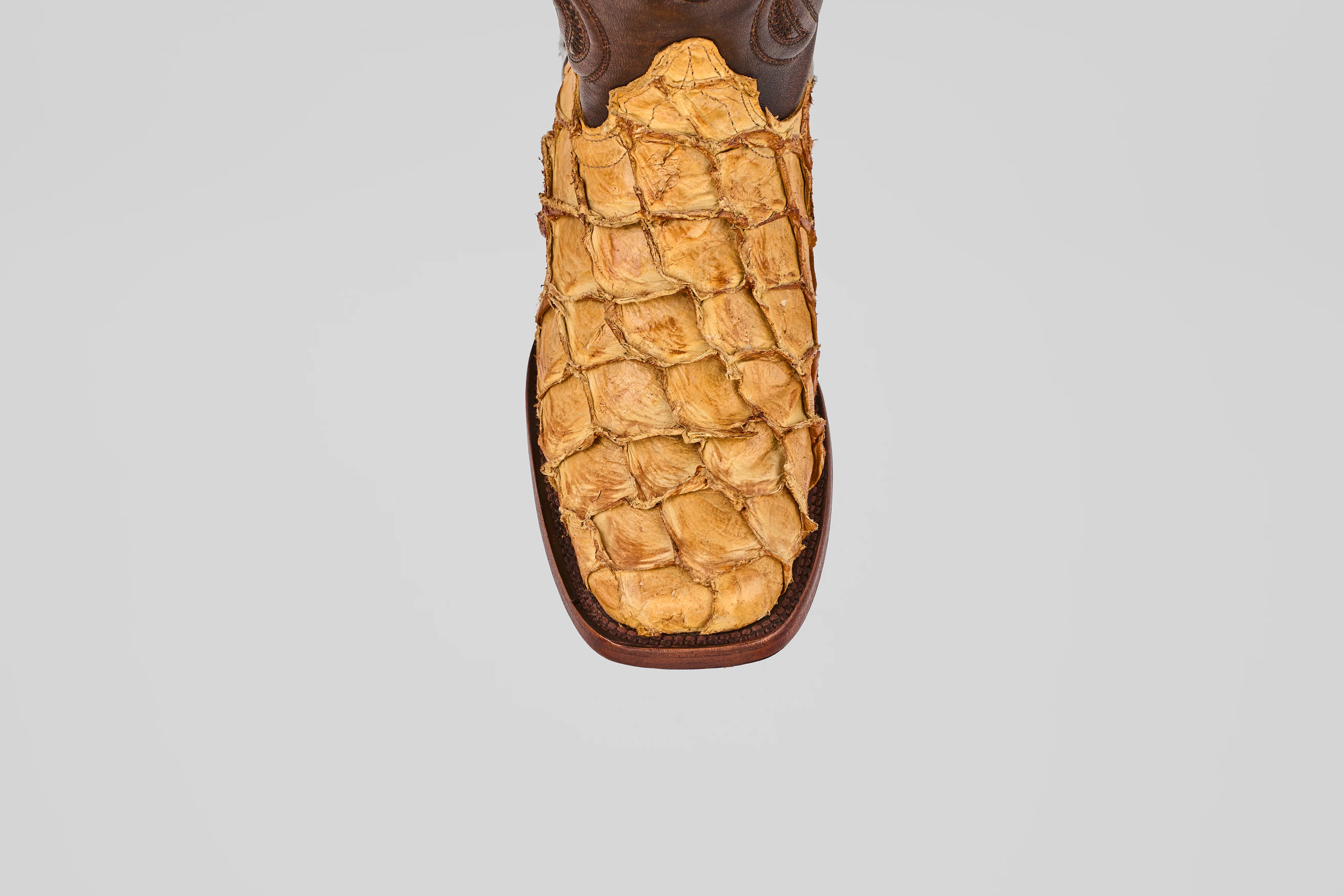 Connor - Buttercup - Rodeo Toe - Image 5