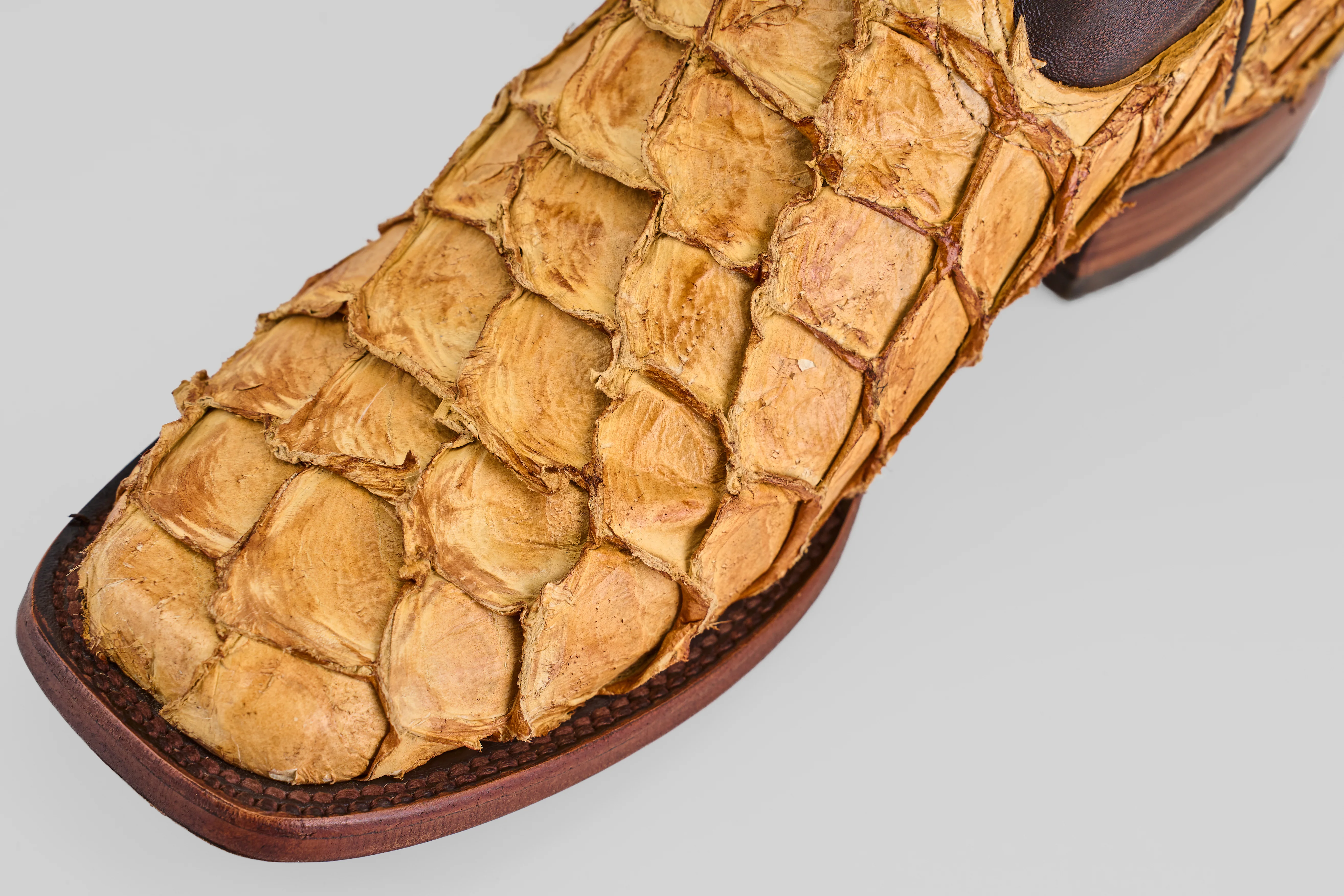 Connor - Buttercup - Rodeo Toe - Image 6