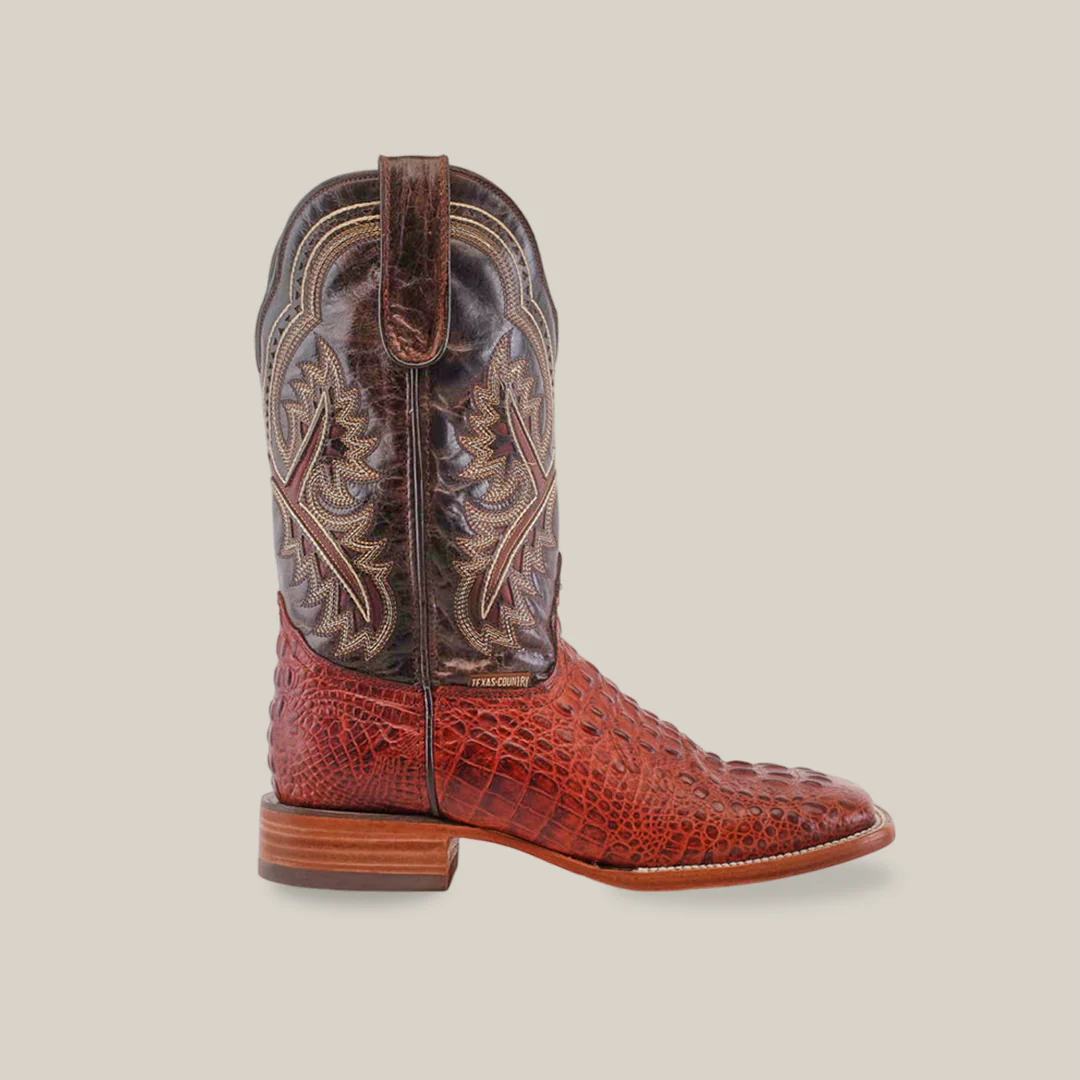 Caiman Hornback Print - Cognac - Square Toe Boots - Image 2