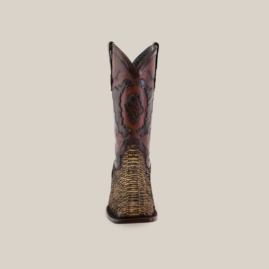 Python Miel Vintage H-501 Cadena - Image 4