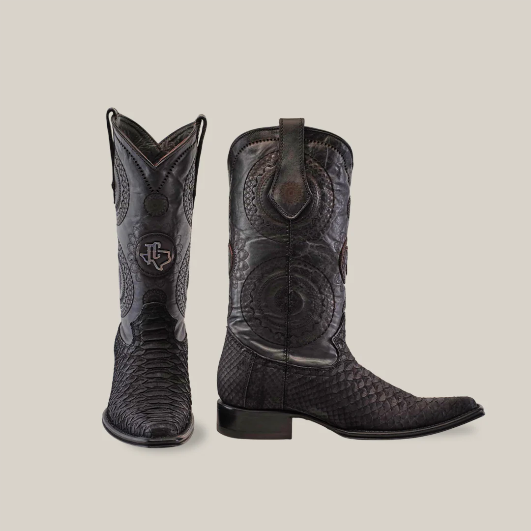 Python Versy Negro